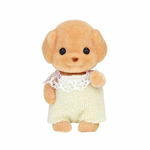 toy poodle baby